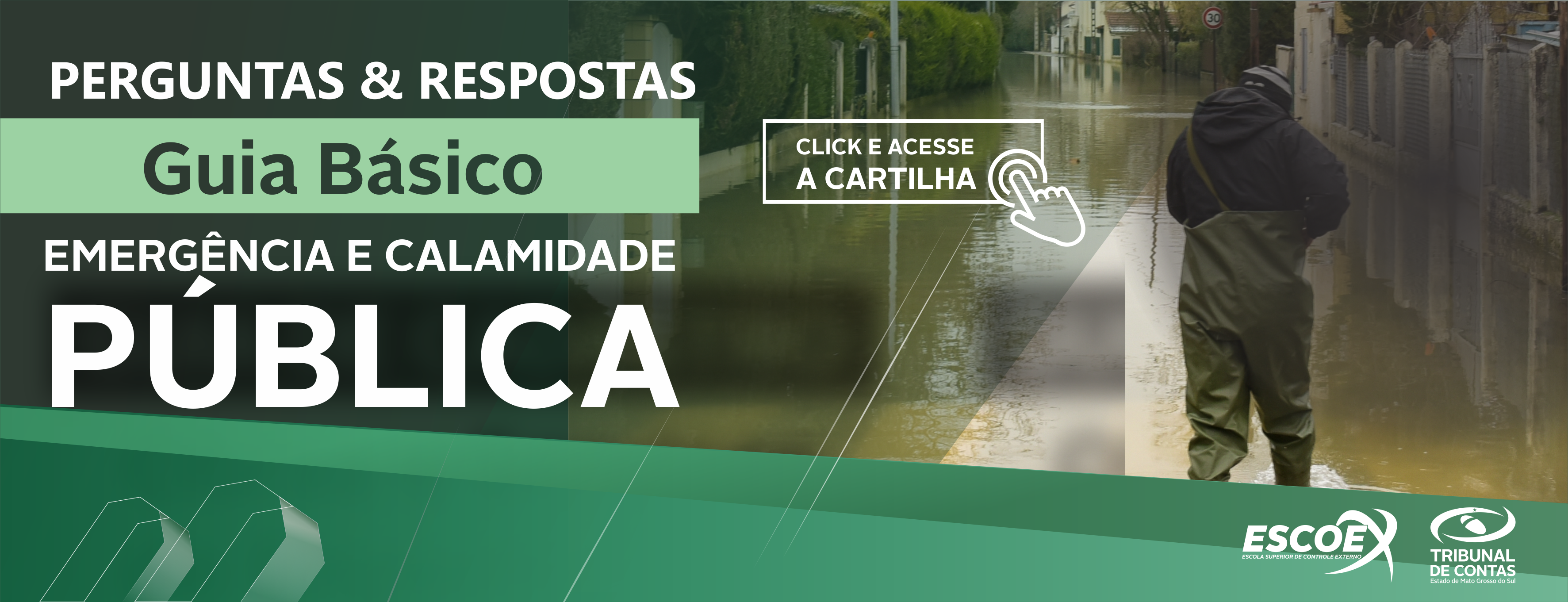 Guia Básico Emergência e Calamidade Pública Perguntas e Respostas